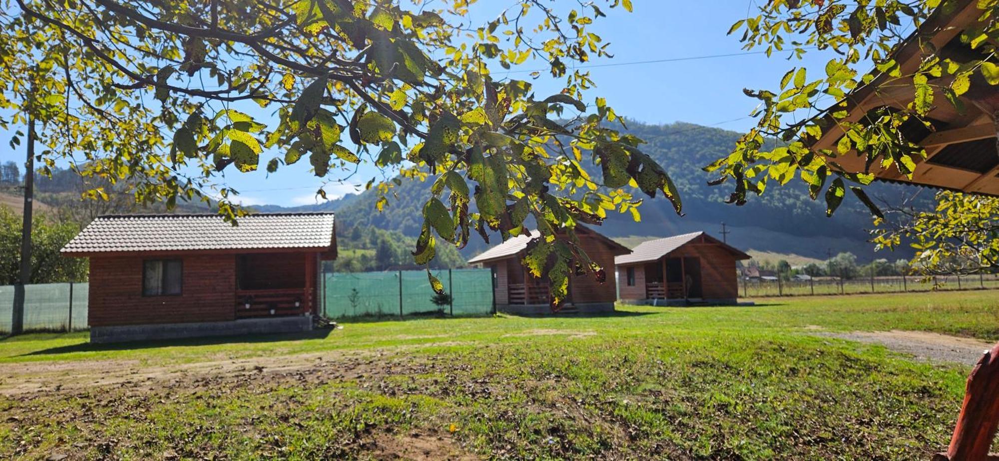 Casute Zavoi Bulz Villa Exterior photo
